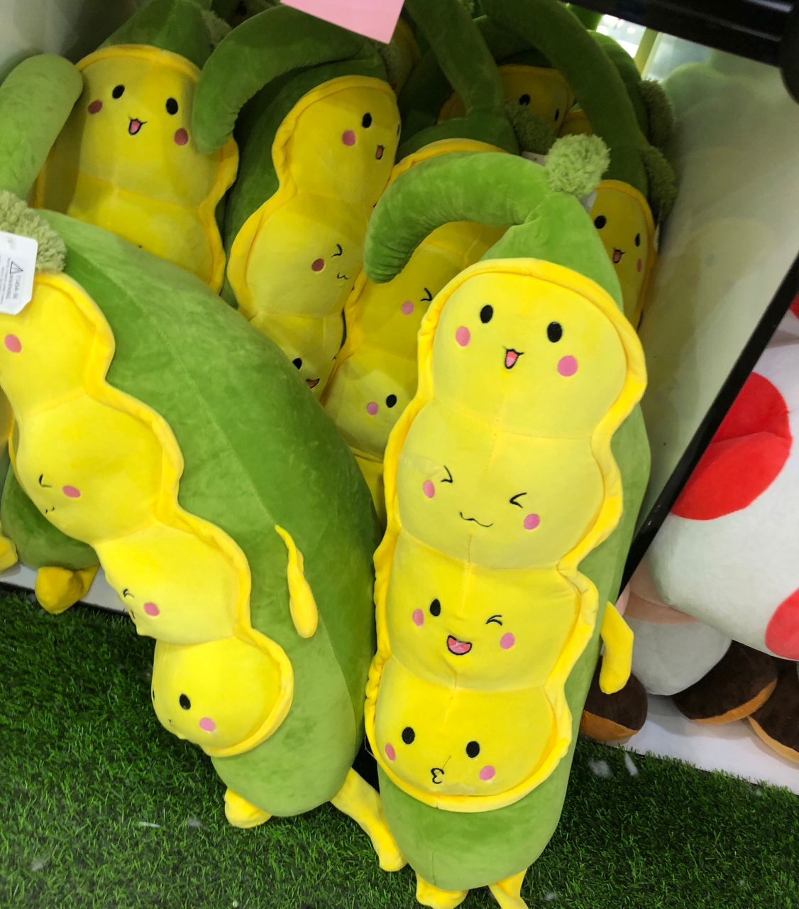  عکس غیرژورنالی نخود فرنگی سبز 