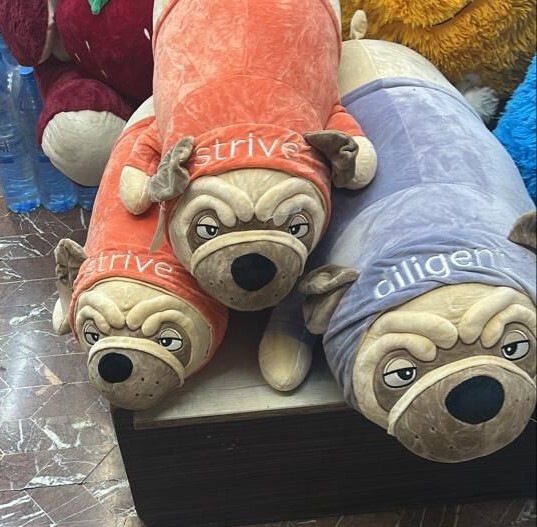  غیرژورنالی بولداگ 