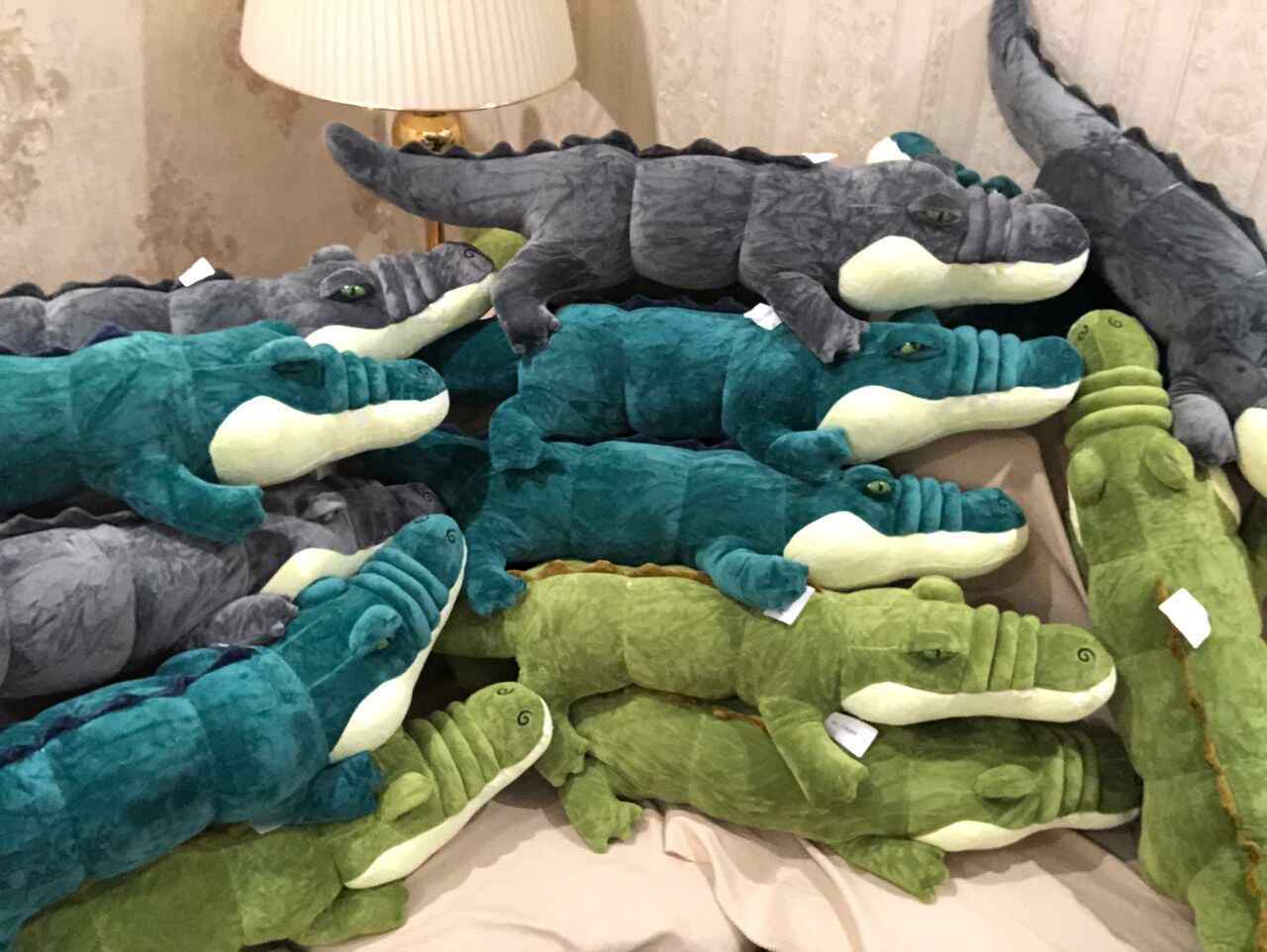  عکس غیر ژورنالی تمساح طوسی سبز 