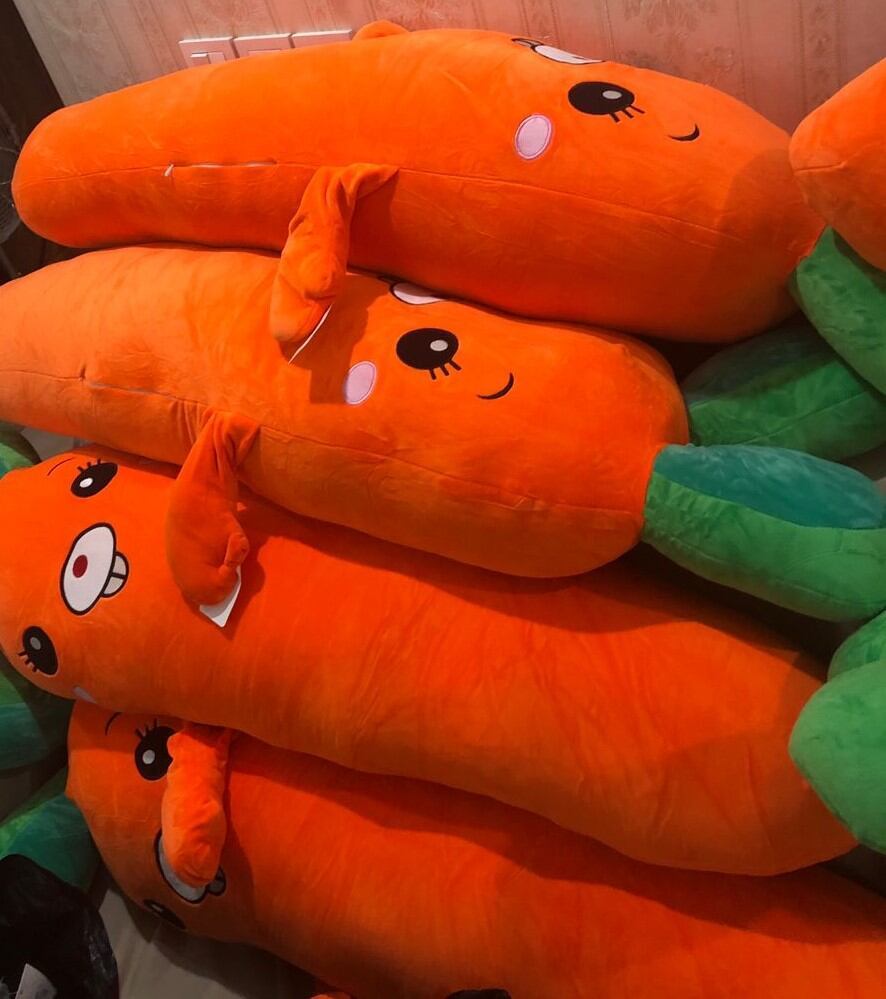  عکس غیر ژورنالی هویج 