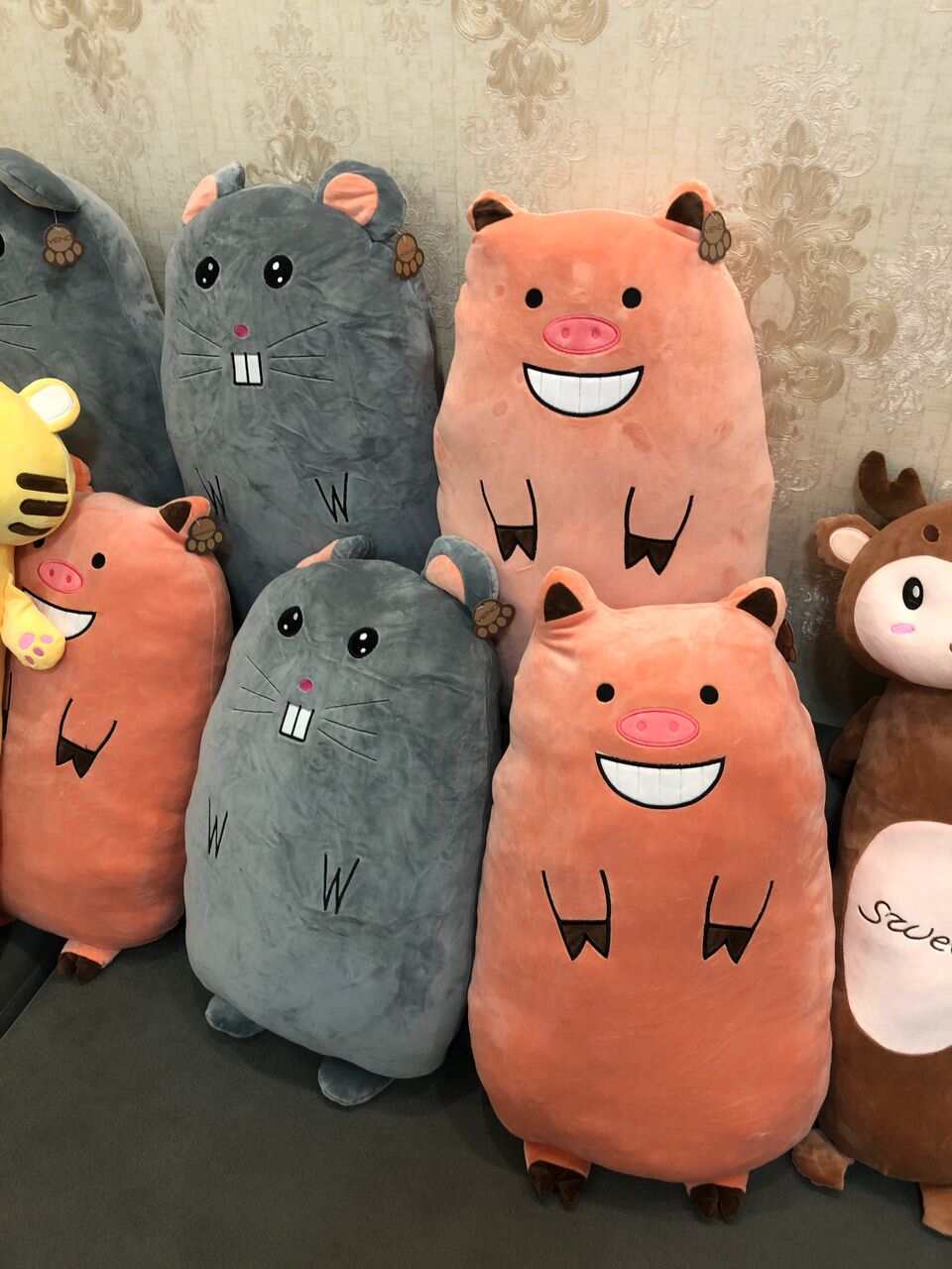  عکس غیرژورنالی خوک و قورباقه و موش بالشتی کوسن 